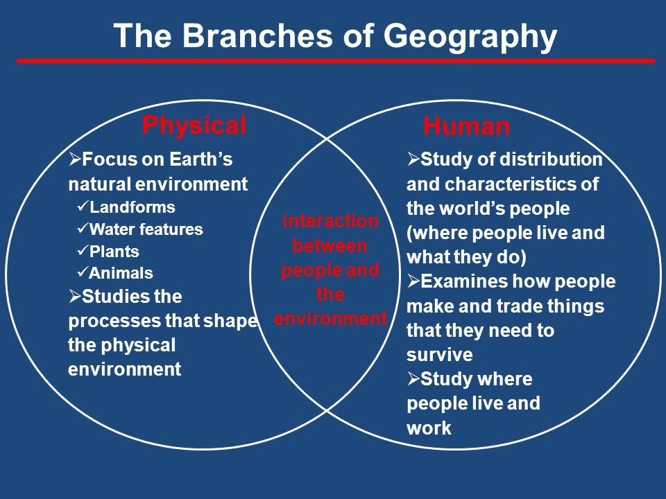 Geography The Branches